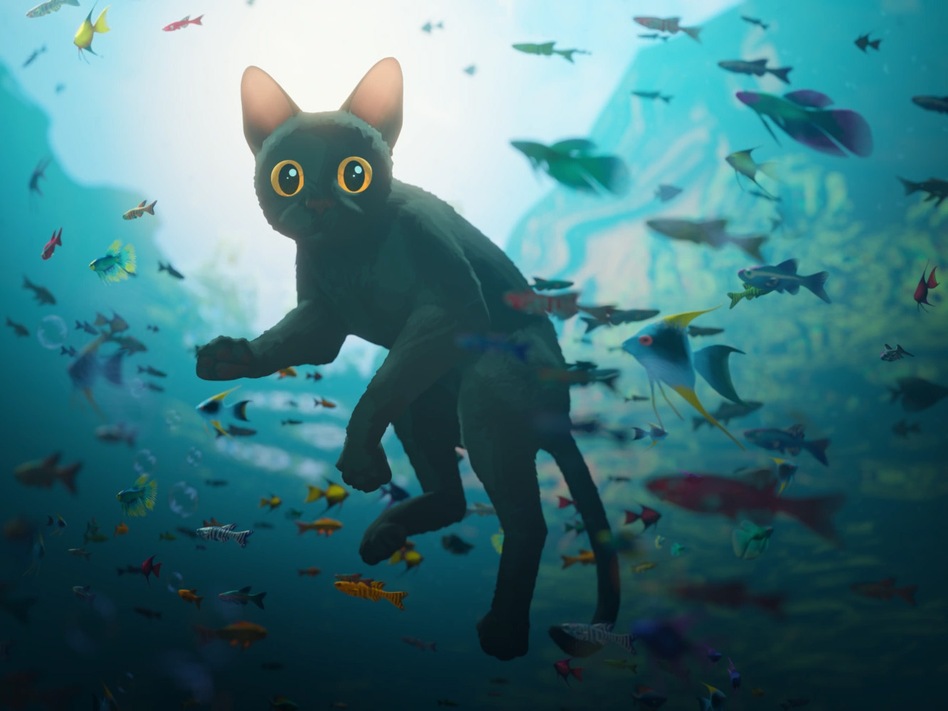 Reliable Blender Support
