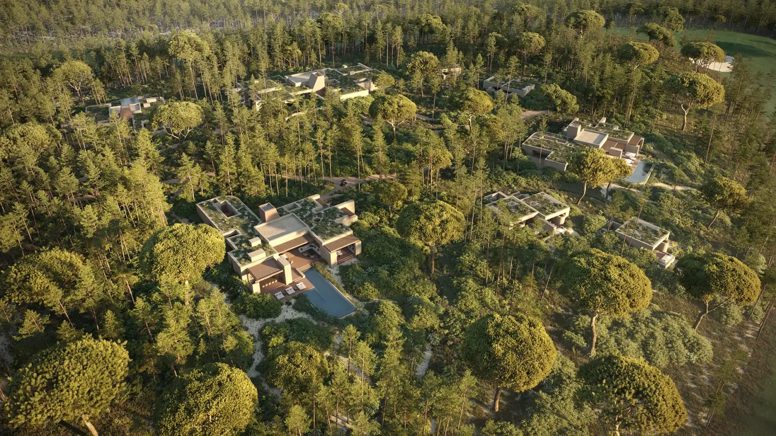 Multi-core processors of the kind that render heavy scattered scenes